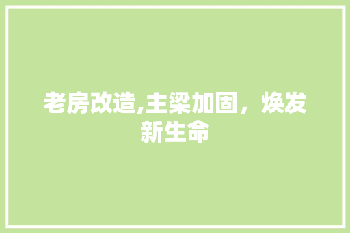 老房改造,主梁加固，焕发新生命