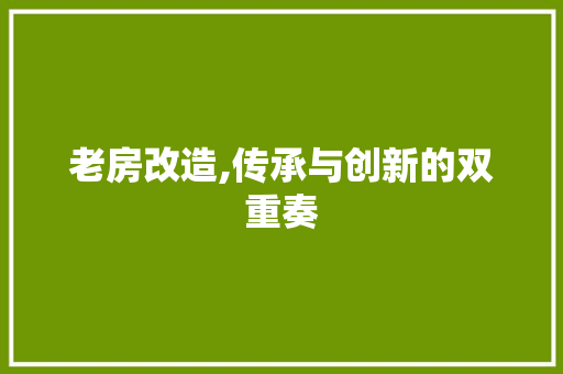 老房改造,传承与创新的双重奏 家电维修