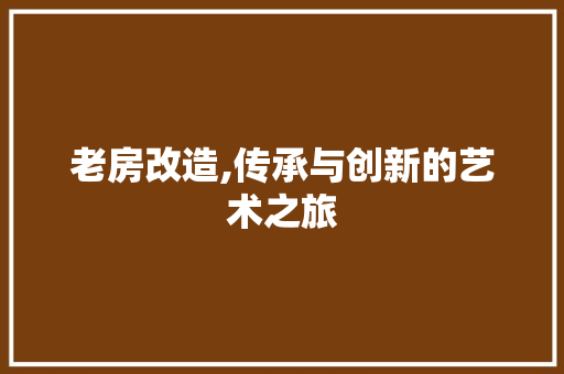 老房改造,传承与创新的艺术之旅
