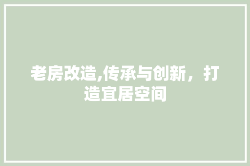 老房改造,传承与创新，打造宜居空间 厨房维修