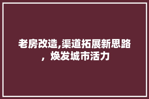 老房改造,渠道拓展新思路，焕发城市活力