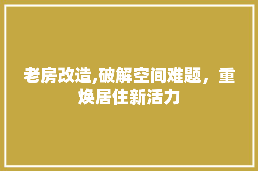 老房改造,破解空间难题，重焕居住新活力