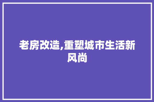 老房改造,重塑城市生活新风尚
