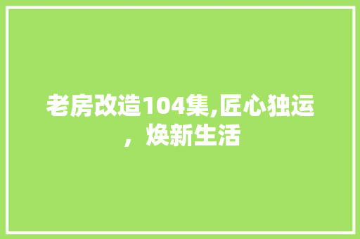 老房改造104集,匠心独运，焕新生活