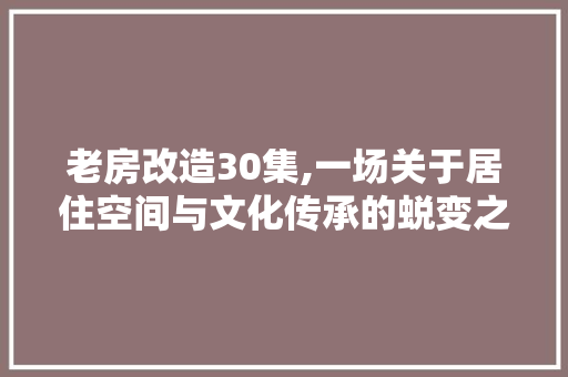老房改造30集,一场关于居住空间与文化传承的蜕变之旅