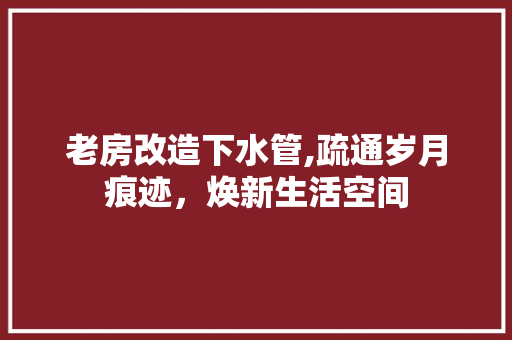 老房改造下水管,疏通岁月痕迹，焕新生活空间
