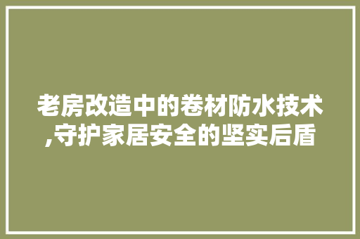 老房改造中的卷材防水技术,守护家居安全的坚实后盾