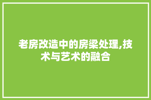 老房改造中的房梁处理,技术与艺术的融合