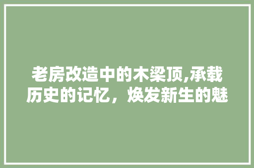 老房改造中的木梁顶,承载历史的记忆，焕发新生的魅力