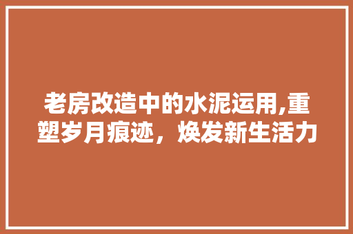 老房改造中的水泥运用,重塑岁月痕迹，焕发新生活力