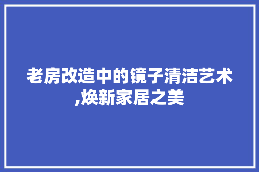 老房改造中的镜子清洁艺术,焕新家居之美