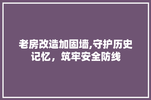 老房改造加固墙,守护历史记忆，筑牢安全防线