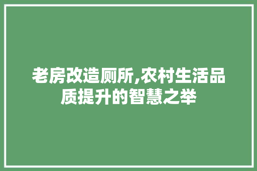 老房改造厕所,农村生活品质提升的智慧之举