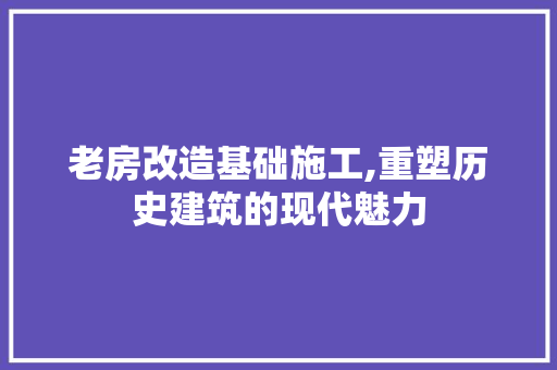 老房改造基础施工,重塑历史建筑的现代魅力