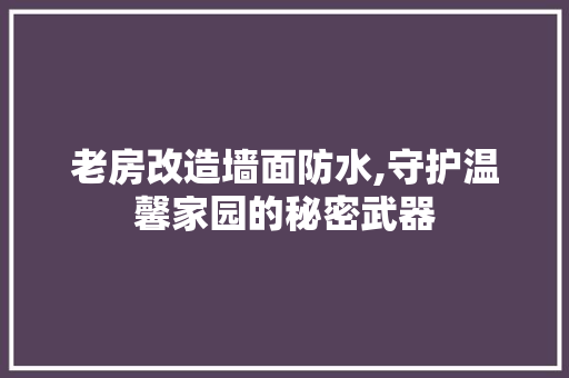 老房改造墙面防水,守护温馨家园的秘密武器