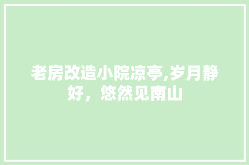 老房改造小院凉亭,岁月静好，悠然见南山
