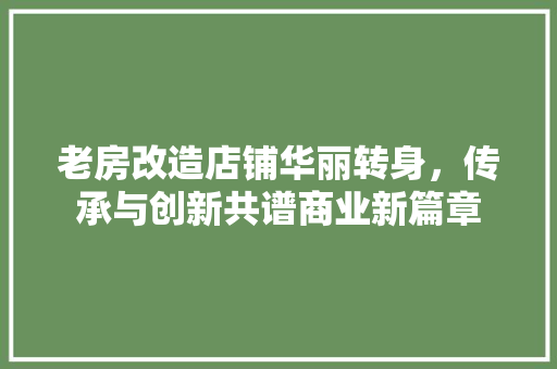 老房改造店铺华丽转身，传承与创新共谱商业新篇章