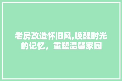 老房改造怀旧风,唤醒时光的记忆，重塑温馨家园