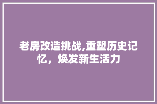 老房改造挑战,重塑历史记忆，焕发新生活力