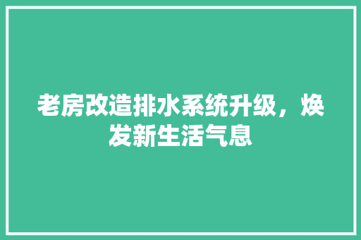 老房改造排水系统升级，焕发新生活气息