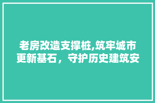老房改造支撑桩,筑牢城市更新基石，守护历史建筑安全