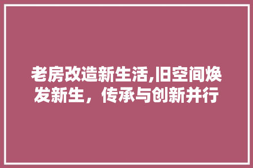 老房改造新生活,旧空间焕发新生，传承与创新并行