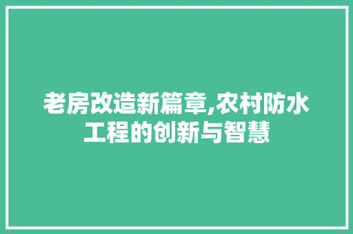 老房改造新篇章,农村防水工程的创新与智慧