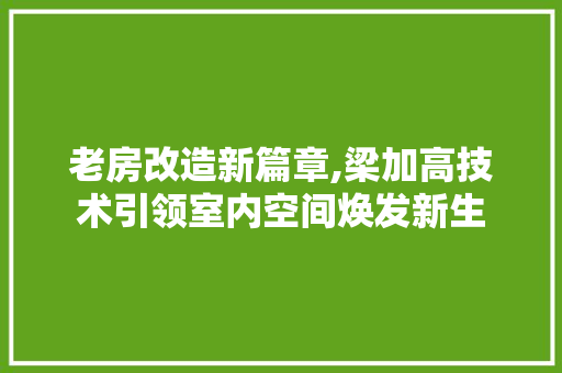 老房改造新篇章,梁加高技术引领室内空间焕发新生