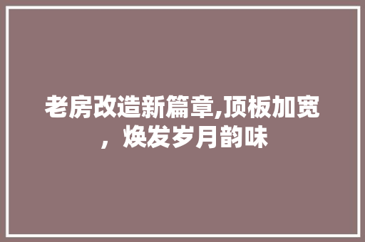 老房改造新篇章,顶板加宽，焕发岁月韵味