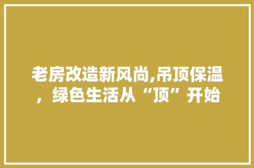 老房改造新风尚,吊顶保温，绿色生活从“顶”开始