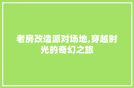 老房改造派对场地,穿越时光的奇幻之旅