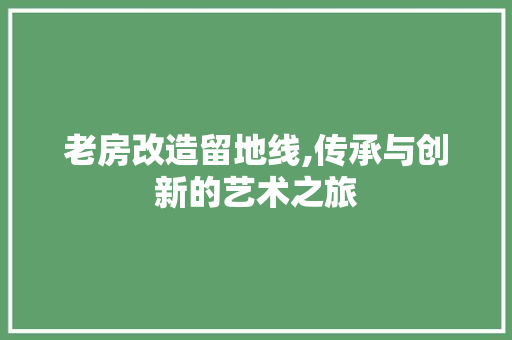 老房改造留地线,传承与创新的艺术之旅