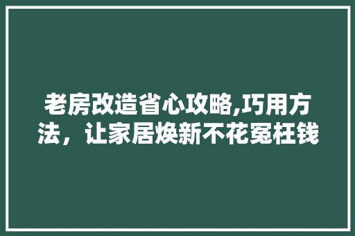 老房改造省心攻略,巧用方法，让家居焕新不花冤枉钱