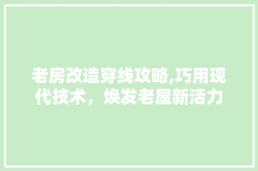 老房改造穿线攻略,巧用现代技术，焕发老屋新活力
