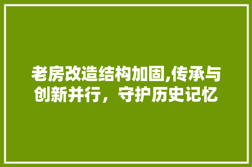 老房改造结构加固,传承与创新并行，守护历史记忆