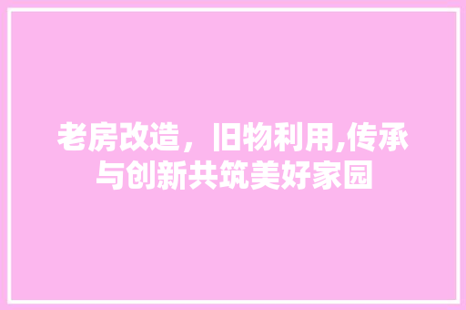 老房改造，旧物利用,传承与创新共筑美好家园