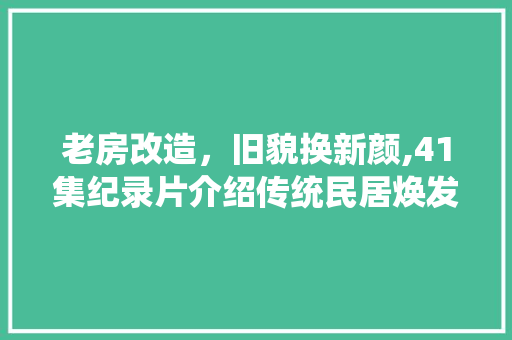 老房改造，旧貌换新颜,41集纪录片介绍传统民居焕发新生之路