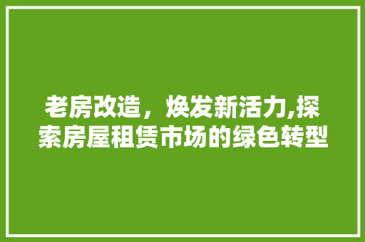 老房改造，焕发新活力,探索房屋租赁市场的绿色转型之路