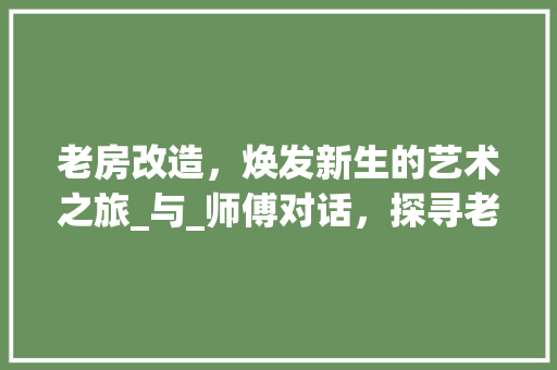 老房改造，焕发新生的艺术之旅_与_师傅对话，探寻老房_的奥秘