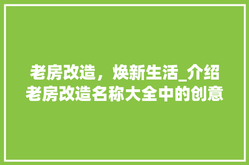 老房改造，焕新生活_介绍老房改造名称大全中的创意与智慧