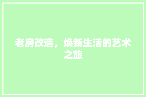 老房改造，焕新生活的艺术之旅