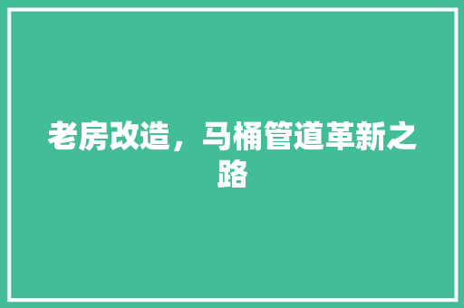 老房改造，马桶管道革新之路