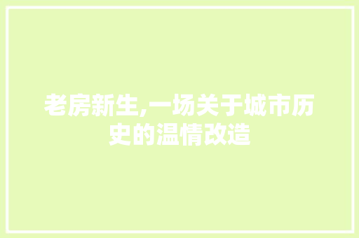 老房新生,一场关于城市历史的温情改造