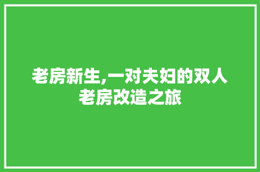 老房新生,一对夫妇的双人老房改造之旅