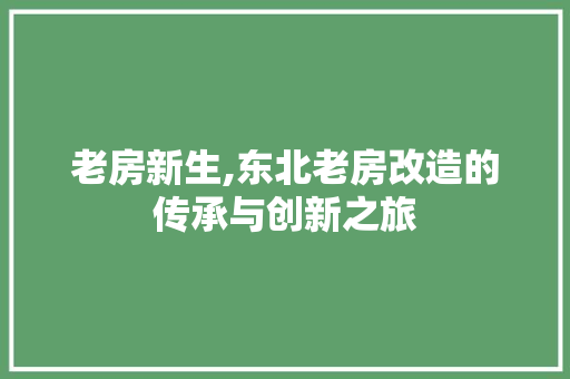 老房新生,东北老房改造的传承与创新之旅
