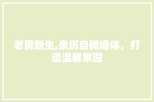 老房新生,亲历自砌墙体，打造温馨家园
