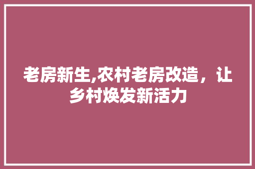 老房新生,农村老房改造，让乡村焕发新活力