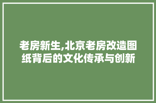 老房新生,北京老房改造图纸背后的文化传承与创新