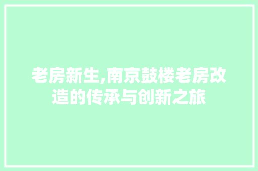老房新生,南京鼓楼老房改造的传承与创新之旅