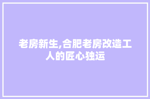 老房新生,合肥老房改造工人的匠心独运
